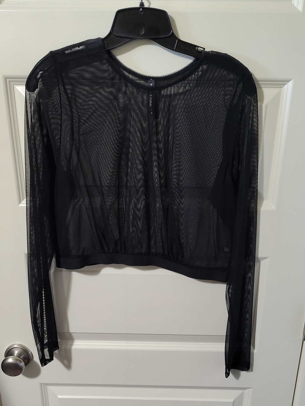 Black Sheer Long-Sleeve Crop Top